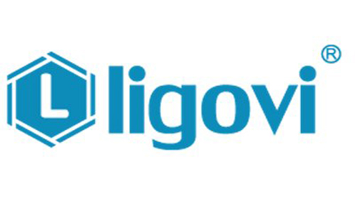 Ligovi