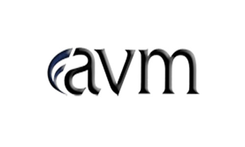 AVM Grup